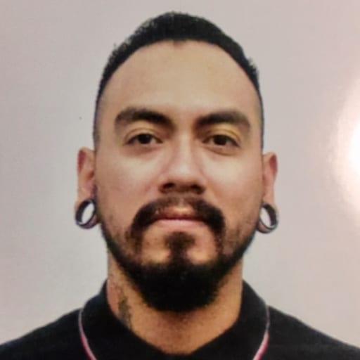 Bruno, Programmer — Automate America