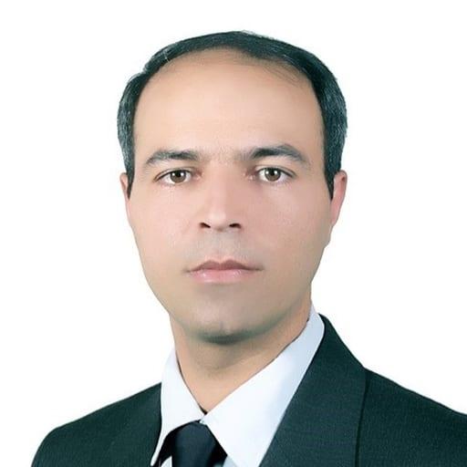 Rouhollah, Developer — Automate America