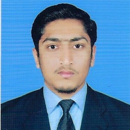Hamza, Developer — Automate America