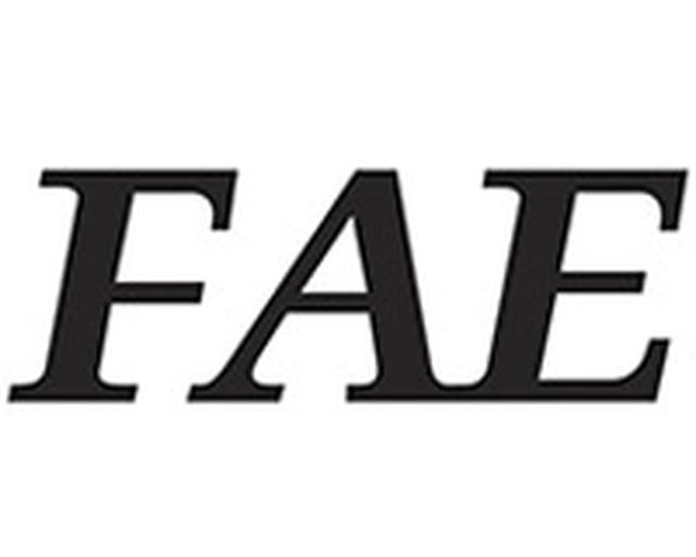 FAE Business School logo — School