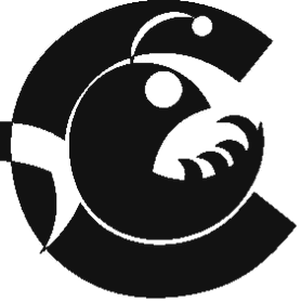 Nava Control Solutions logo