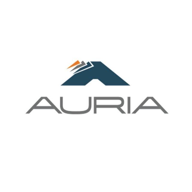Auria Solutions logo