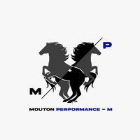 MOUTON ENGINEERING SYSTEMS logo